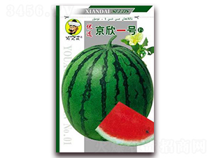 ����һ̖-���ϷN��-�F(xi��n)���N�I(y��)