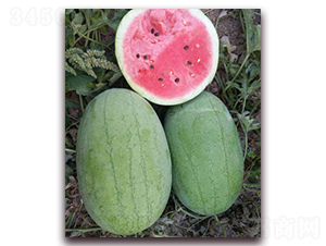 �t����-���ϷN��-�F(xi��n)���N�I(y��)