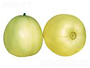 ѩ��-��ϷN��-����