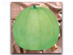 ����-��ϷN��-����