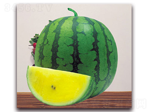 �ی�-���ϷN��-����