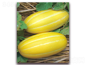 ������-��ϷN��-����