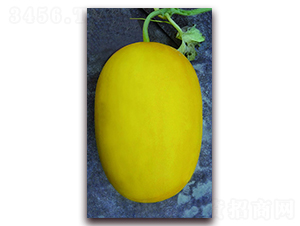 ���@����-��ϷN��-����