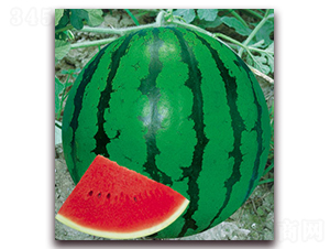 ��(j��ng)��-���ϷN��-����