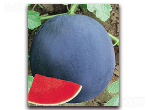 �ڟo��8̖-���ϷN��-����