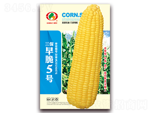 �������5̖(h��o)-�����׷N��-�����N�I(y��)