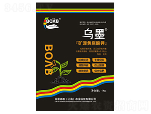 �VԴ�S�����-��ī-�ڶ����