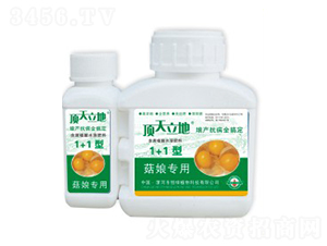 ����ú���ֲ��ˮ�ܷ��ϣ�1+1�ͣ�-�������-��Gֲ��