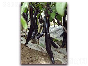 �d�G�L��-���ӷN��-�d�G�N��