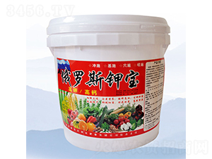 ���_˹⛌�-���S