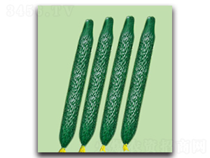 ����3̖-�S�ϷN��-��ľ�N��