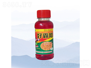 100ml�ðԵ�-���S