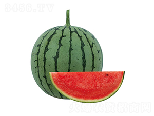 �H��4̖(h��o)-���ϷN��-��ľ�N��