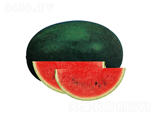 �H��1̖(h��o)-���ϷN��-��ľ�N��