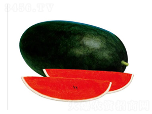 ��ľ������-���ϷN��-��ľ�N��