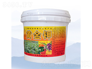 10kg�S���-���S