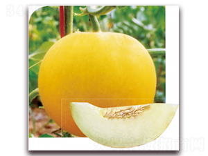 ����2̖(h��o)-��ϷN��-��ľ�N��