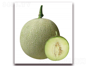 �ٴ�-��ϷN��-��ľ�N��