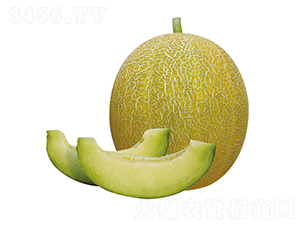 ����-��ϷN��-��ľ�N��