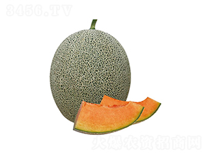 ����-��ϷN��-��ľ�N��