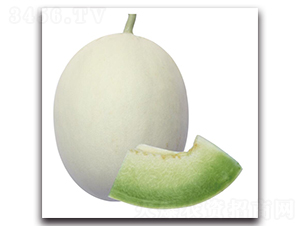 ����ѩ-��ϷN��-��ľ�N��