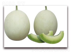 �׹���-��ϷN��-��ľ�N��