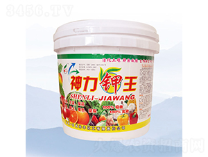 Ͱ�b�������-���S