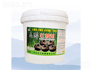 �R����턩��5kg��-���S