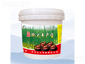 �R������S�a(ch��n)��-���S