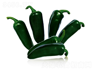 ����08-�����N��-��ľ�N��