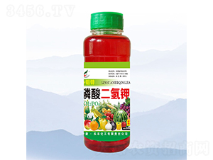 500ml���f�\��������-���S