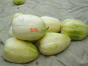 ���P-��ϷN��-ʢ���N�I(y��)