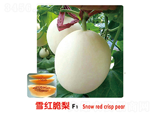 ѩ�t����F1-��ϷN��-ʢ���N�I(y��)