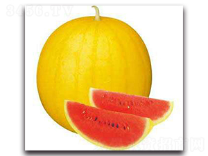 ��Ԫ��-���ϷN��-ʢ���N�I(y��)