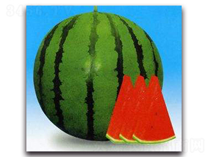 �OƷ����-���ϷN��-ʢ���N�I(y��)