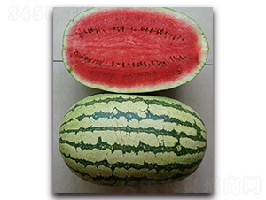 ���x���r(n��ng)8̖-���ϷN��-ʢ���N�I(y��)