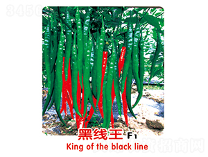 �ھ���F1-�����N��-ʢ���N�I(y��)