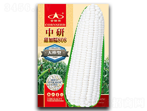 �������Ŵ808-Ŵ���׷N��-��¡��