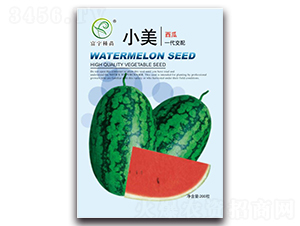 С������-���ϷN��-����N��