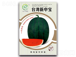 �_�����Ќ�-���ϷN��-����N��