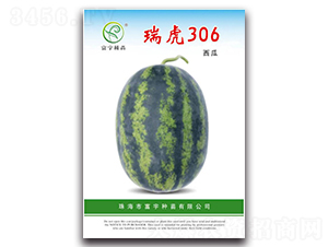 ��306����-���ϷN��-����N��