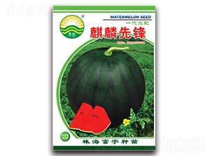 �������h-���ϷN��-����N��