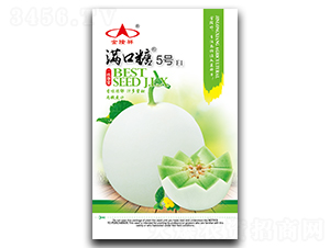 �M����5̖(h��o)-��ϷN��-��¡��