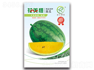 ����������-���ϷN��-����N��