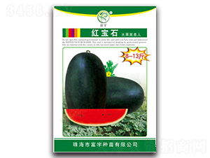 �t��ʯ���������-���ϷN��-����N��