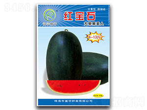 �t��ʯ-���ϷN��-����N��