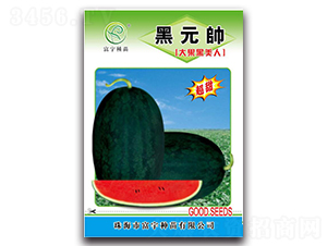 ��Ԫ��-���ϷN��-����N��