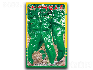 ��������̖-�����N��-��¡��