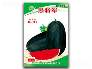 �ڌ�܊-���ϷN��-����N��