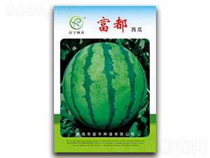 ��������-���ϷN��-����N��